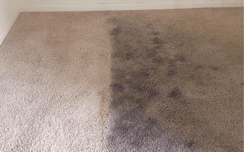 Clean and dirty carpet comparison