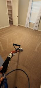 Clean carpet with vacuum marks