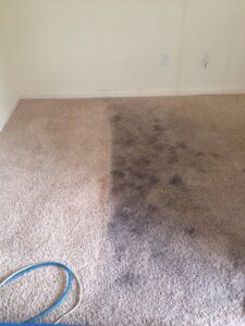 Carpet cleaning before and after comparison
