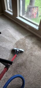 Carpet being cleaned by vacuum tool