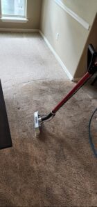 Carpet being cleaned with vacuum